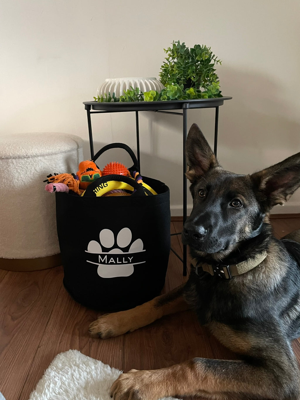 Personalised Felt Dog Trug – Luxury Pawprint Design (30x30cm)